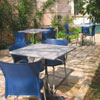 רוזמרין