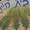 בית היין - מעברות