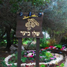 שלו ביער