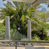 אנינה מטבח איטלקי