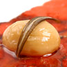 Carpaccio Bar