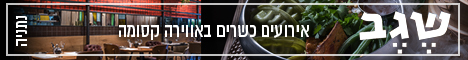 שגב נתניה