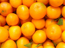 תפוזים: קישוט לראש השנה הסיני
