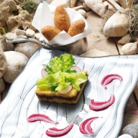קובה פטריות שיטאקי ואלמוג מוגשת עם טחינת סלק וסלט חסה פריך