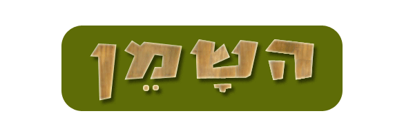 ����� | ������ | ������ �����