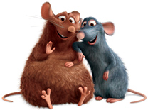 רמי וחבר קצת פחות אנין