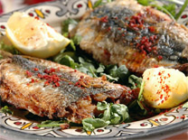 שנה של מזל והצלחה