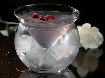 קוקטייל של בנג'מין סגל