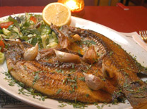 דגים של מסעדת אלאדין