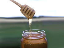 ראש השנה חג הכוורנים