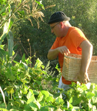 צילום: אנצ'ו גוש