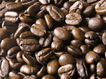 פול הקקאו: מטבע עובר לסוחר