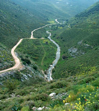 למסעדת רנצ'ו שיתוף פעולה עם מיטב האטרקציות באזור