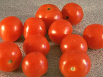 עגבניה: מלשון עגבים