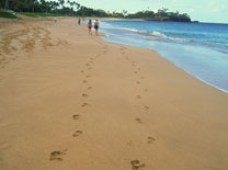 לטייל יחפים על החוף