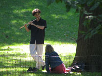 להיעלם ביער