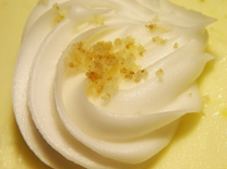 נשיקות בסיסיות