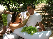 פסטיבל בין הכרמים