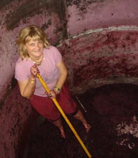 אורנה צ'יאלג למדה את תהליך עשיית היין באיטליה