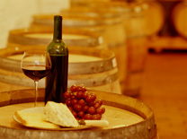 מבחר מתנות יין בבית המשקאות של שחר