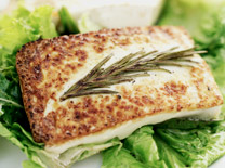 מה נשתנה בגזרת הדגים בפסח?