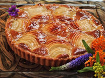 יואב יהודה - מערות ומסעדות