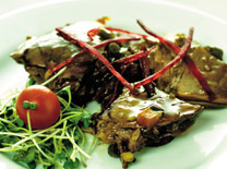 פסח - היצירתיות לא נגמרת