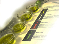 סדנאות לקהל הרחב במלון ענבל