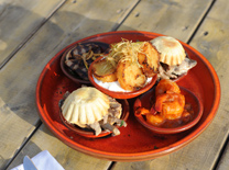 איפה תהיו בחול המועד?