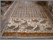 פסיפסים באזור כרמים, סגולה