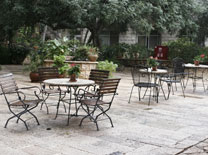 החצר של מוסקט