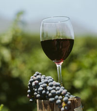 יין הוא מוצר תרבותי