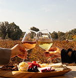 מרימים לחיים 2026 