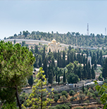 נוף עין כרם