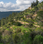 נוף  עין כרם