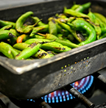 על האש צמחוני