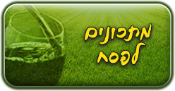 מתכונים לפסח