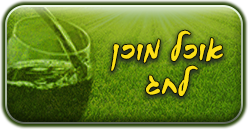 אוכל מוכן לחג