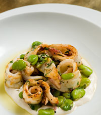 קלמארי של סושיאל קלאב 