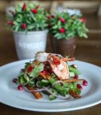 גוז' ודניאל - פנינה רומנטית 