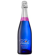 Vinichi - מבעבע פירותי מתקתק