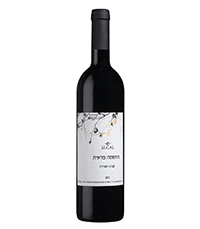 הסדרה של התססה פראית