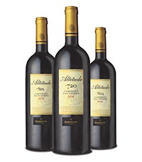 סדרת האלטיטיוד של יקבי ברקן