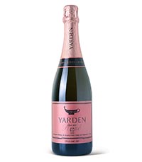 לפתוח בקבוק לשנה החדשה