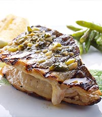 טאבולה - ארוחה בקצה שדרת עצים