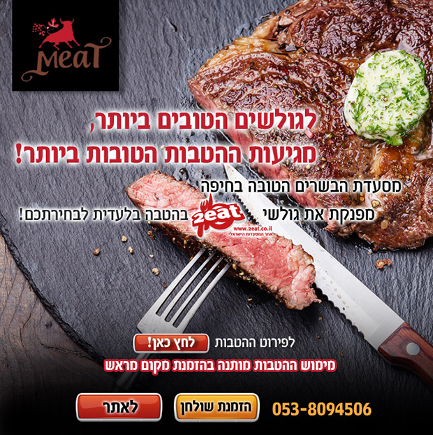 מיט חיפה