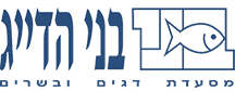בני הדייג אשדוד אנגלית