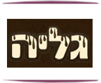 גליה קונדיטוריה