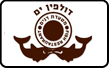 דולפין ים