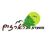 לוגו הארזים